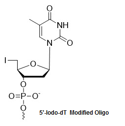 Bio-Synthesis Inc. Oligo Structure